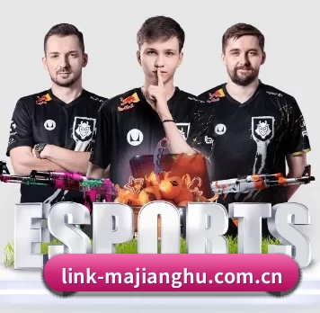 link-majianghu.com.cn APP